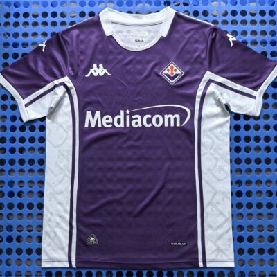 2025 Werder Bremen home stadium